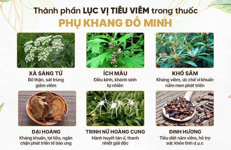 Tác dụng bộ thành phần Lục vị tiêu viêm trong phụ khang đỗ minh