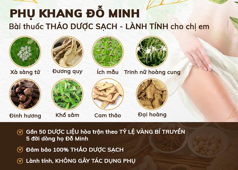 Thành phần bài thuốc Phụ Khang Đỗ Minh